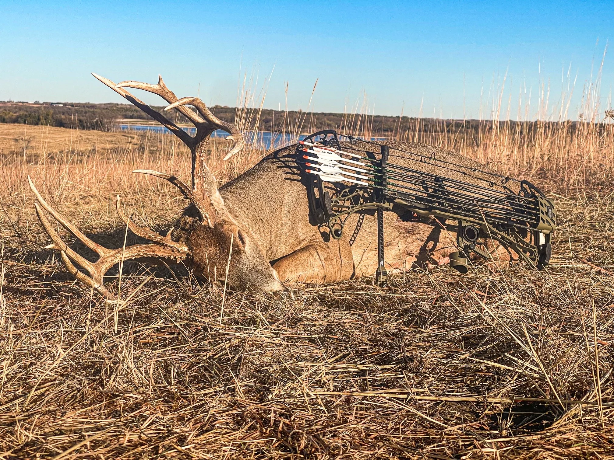 A big whitetail buck taken with a bow with Kansas prairie in background. 