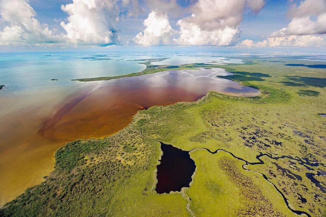 Aerial photos of a red tide event in the Florida Everglades. 