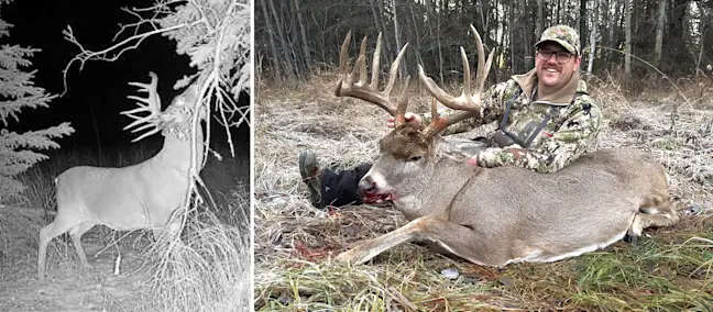 Split photo with trail-camera picture of big whitetail buck on left and hunter posing with buck on right. 