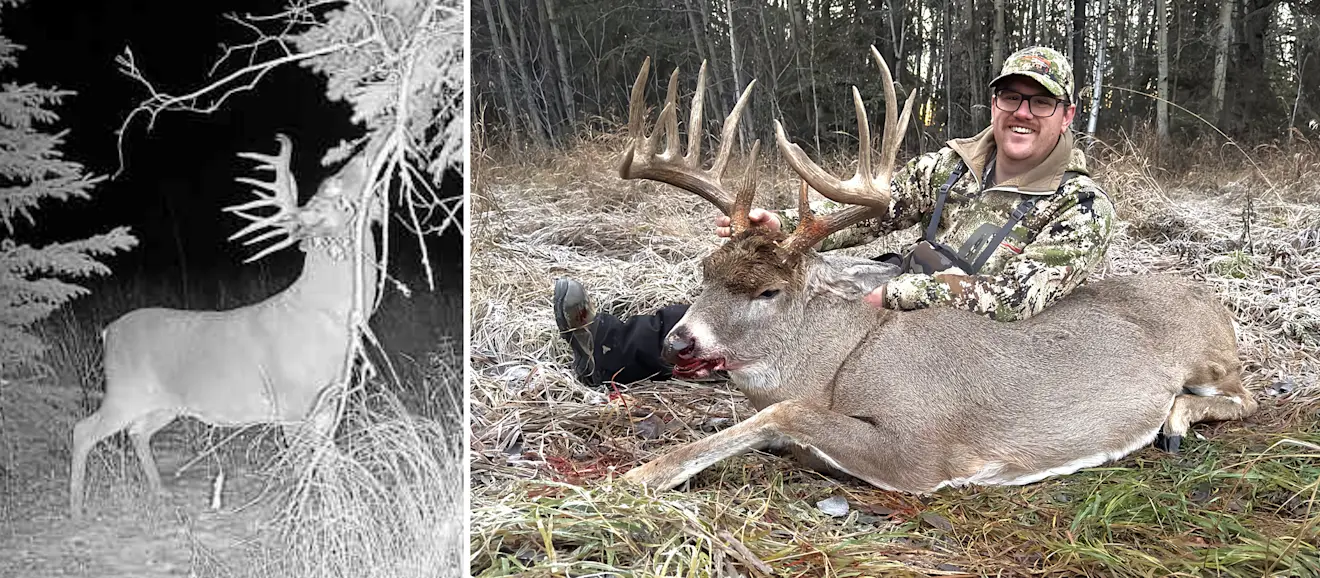 Split photo with trail-camera picture of big whitetail buck on left and hunter posing with buck on right. 