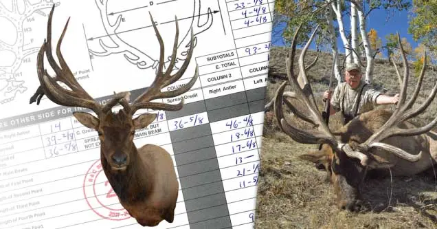 Side-by-side image of an elk antler mount and a hunter.