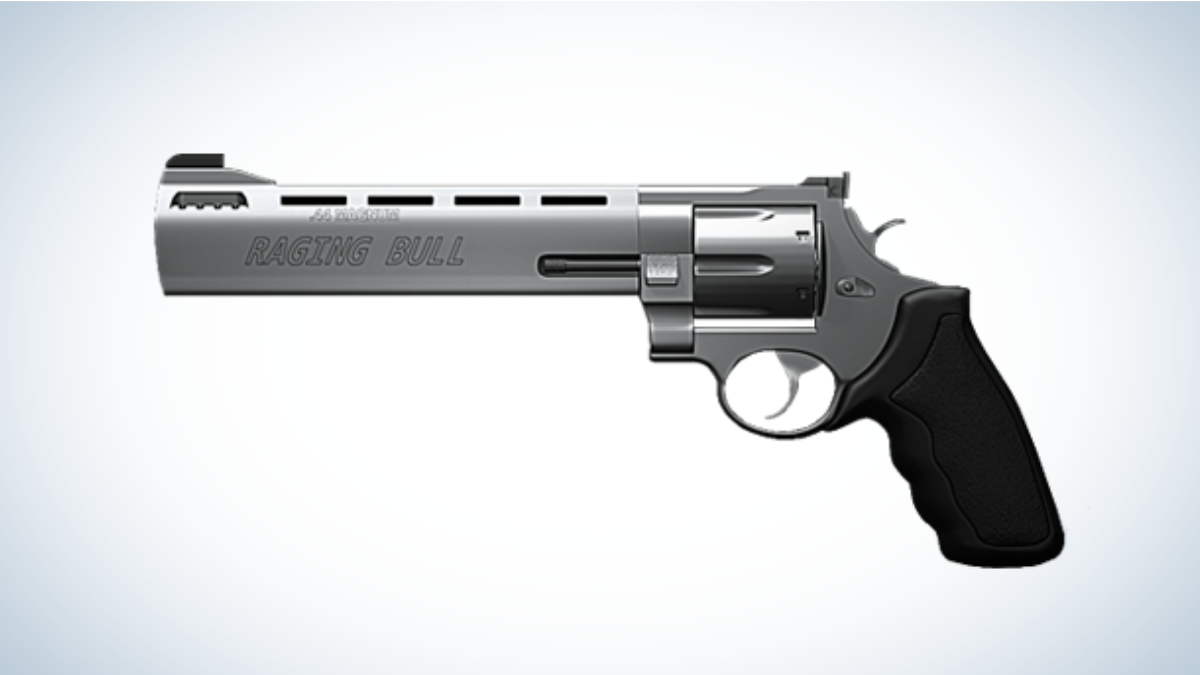 Taurus Raging Bull