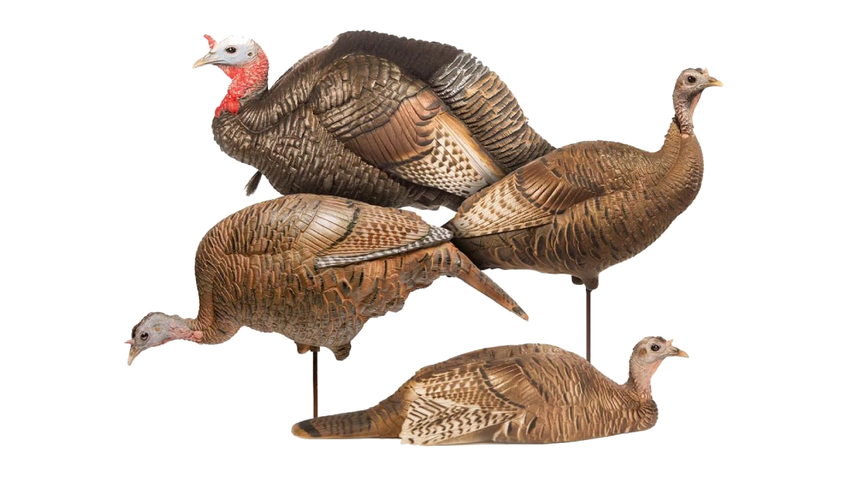 Dave Smith Turkey Flock Decoys on white background