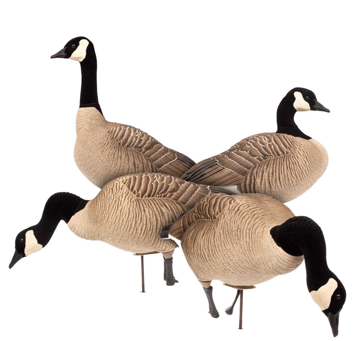 Dave Smith Decoys Maxima Honkers
