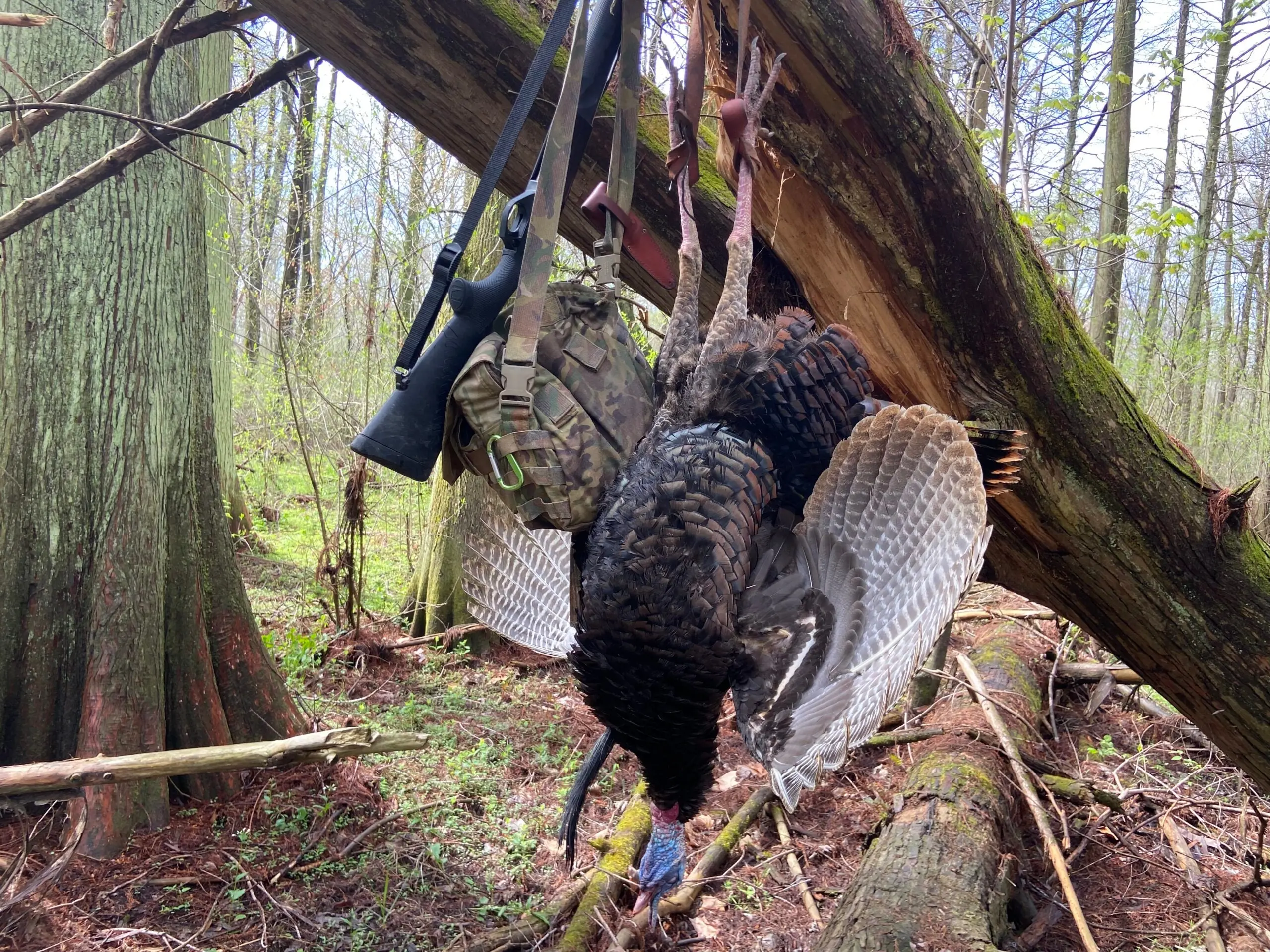 photo of turkey hanging