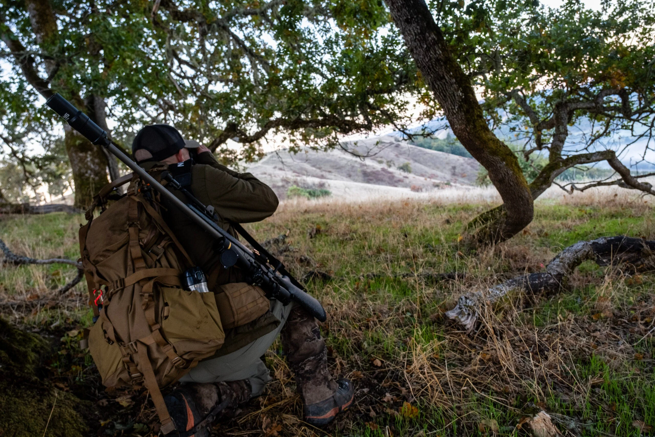 Hunter glassing for Columbian whitetail deer near two small oak trees