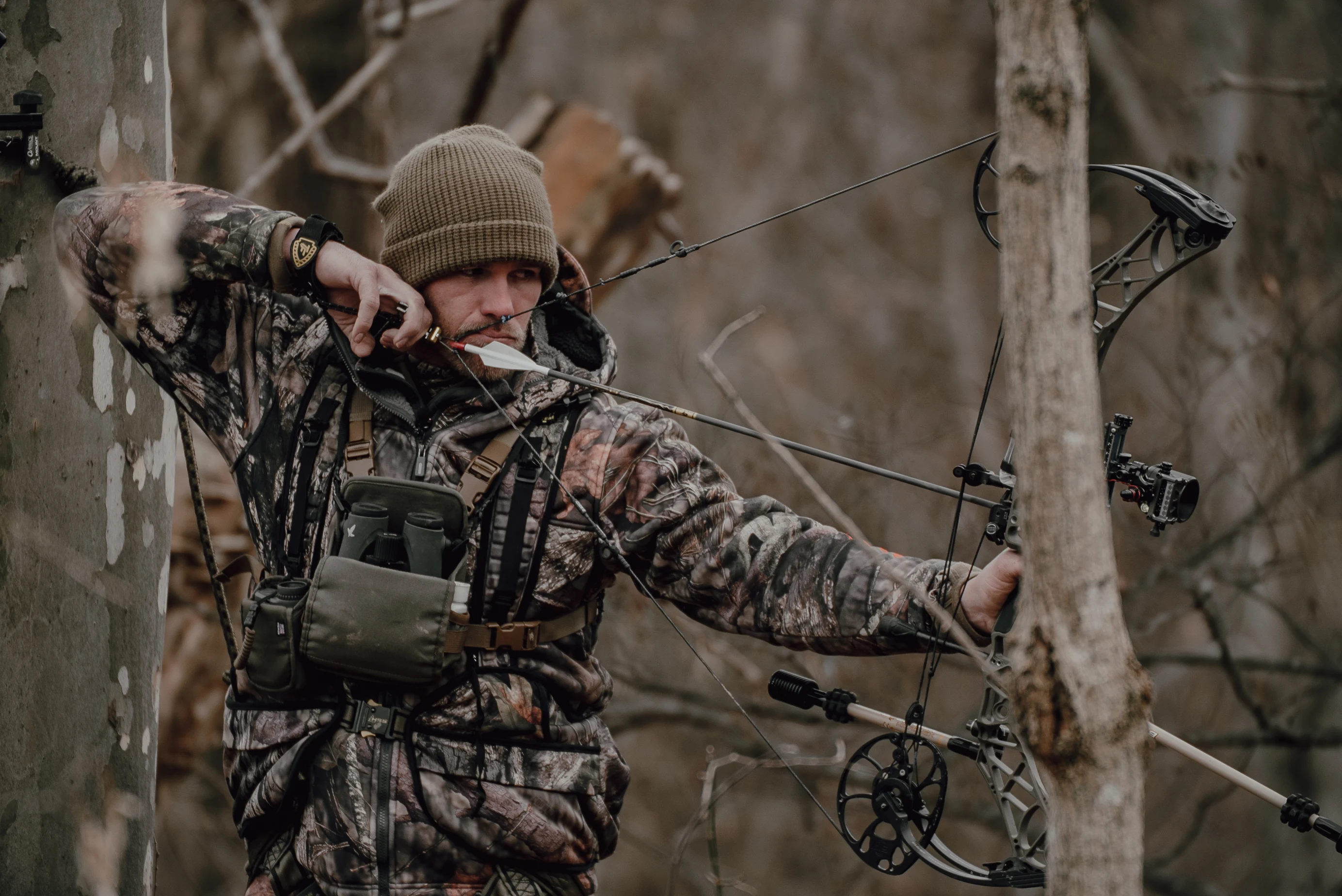 A bowhunter at full draw. 