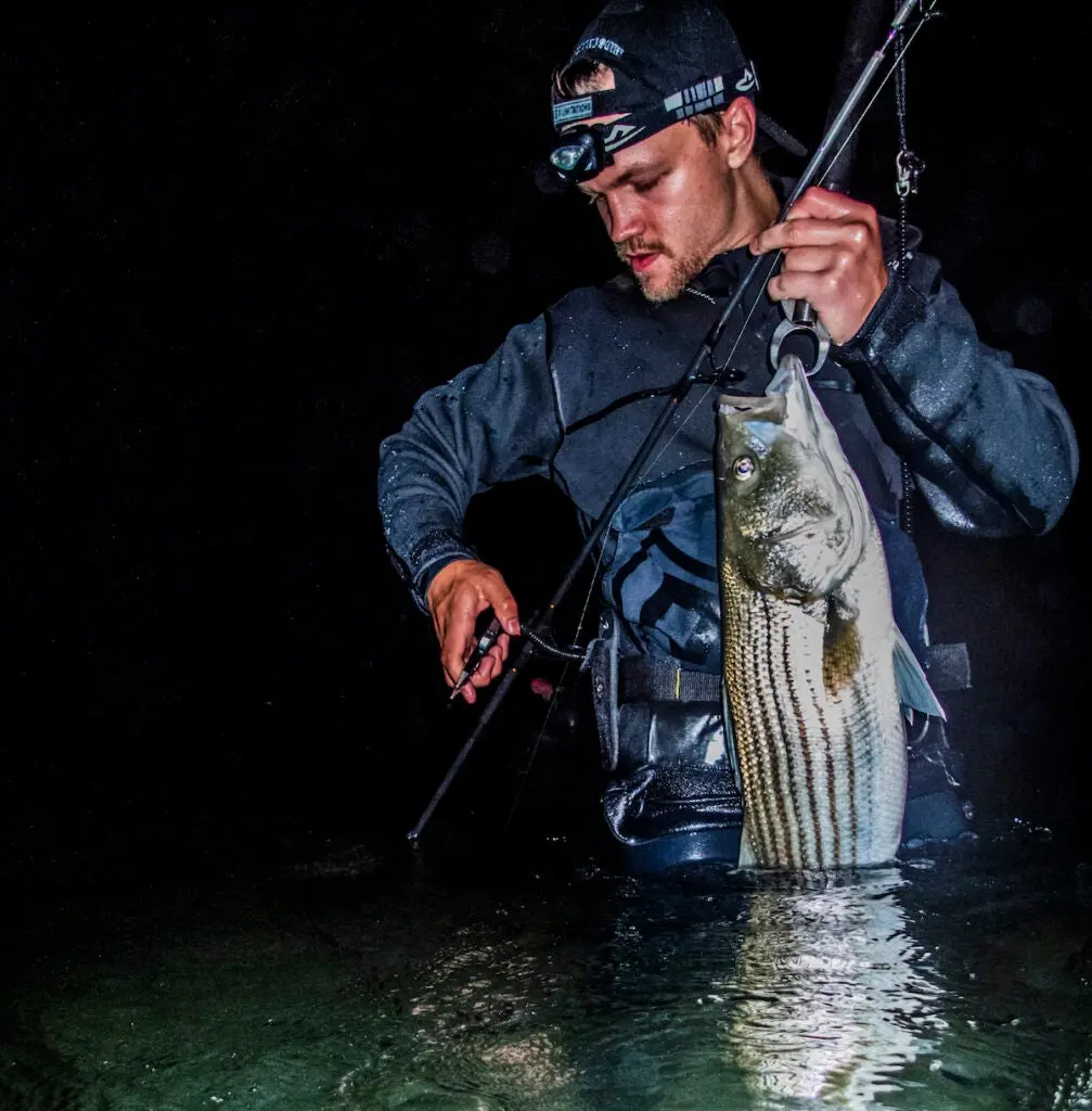 fisherman standing in the water with a striped bass.