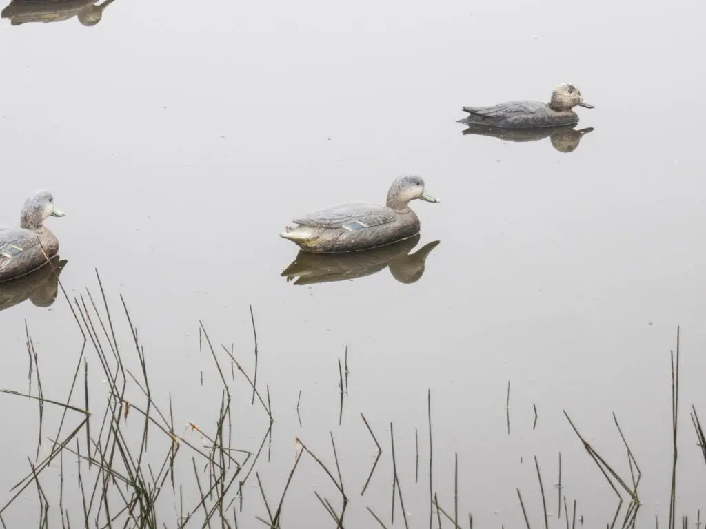 two decoys floating in the water.