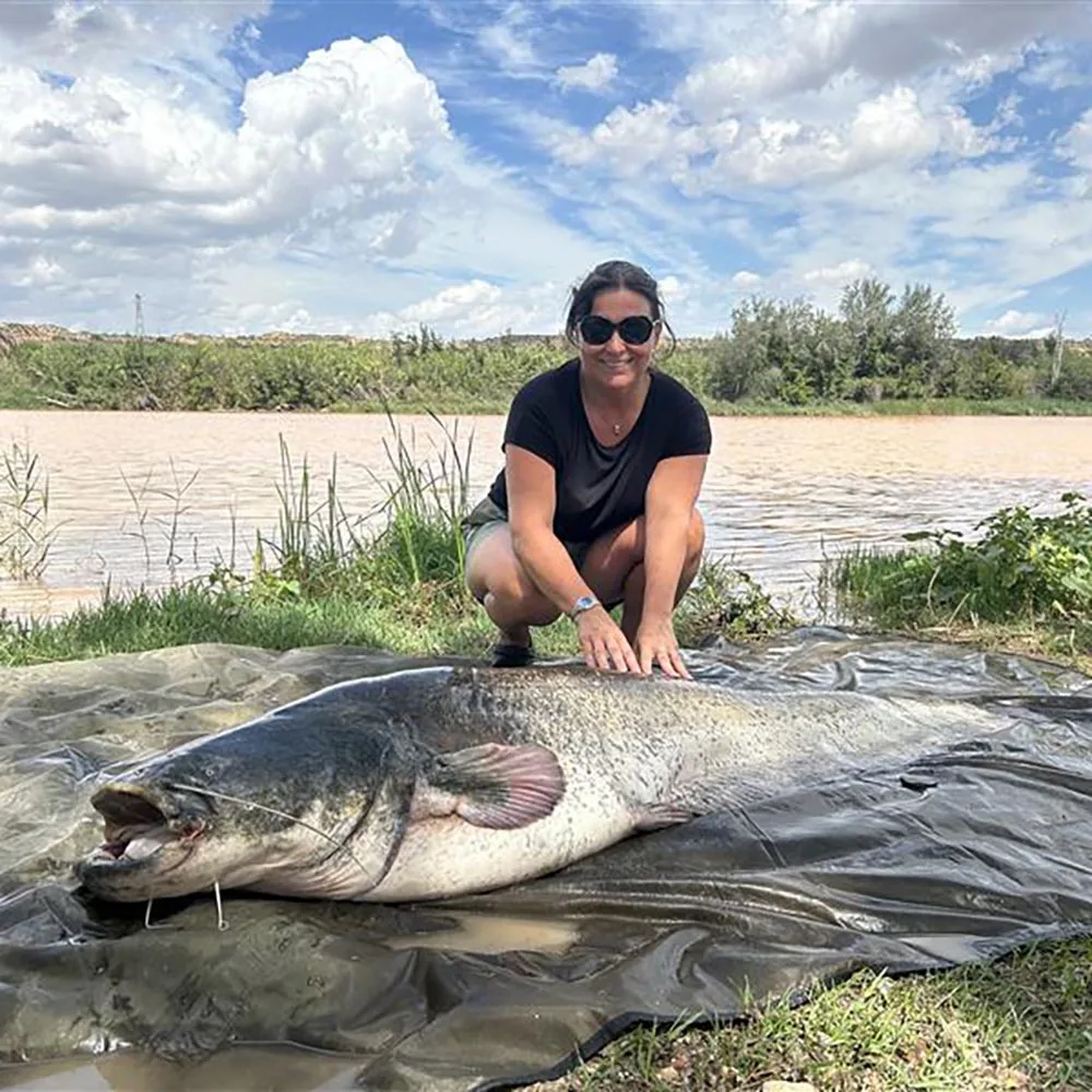An angler poses with a world record wels catfish.