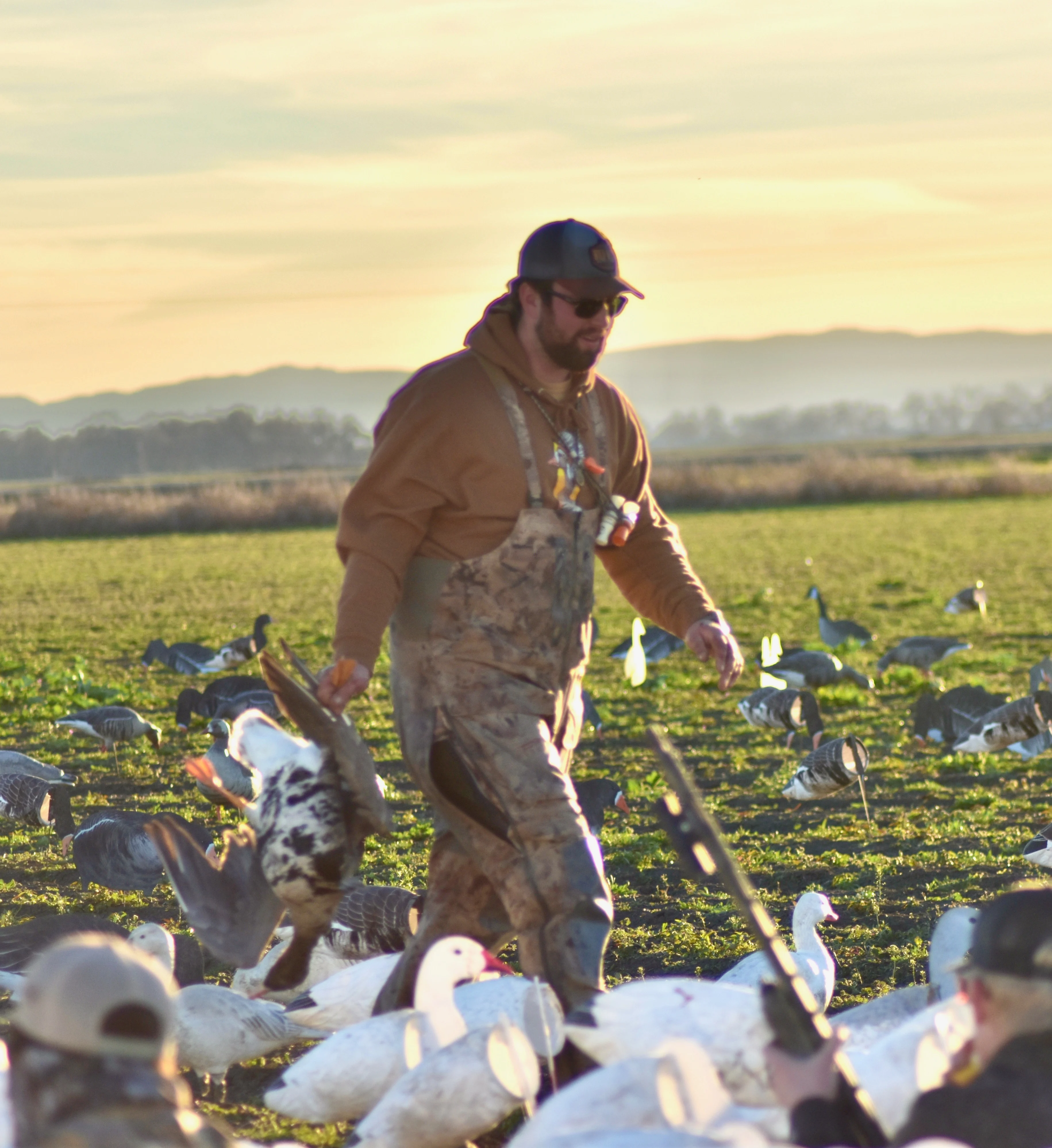 Hunter retrieves bird