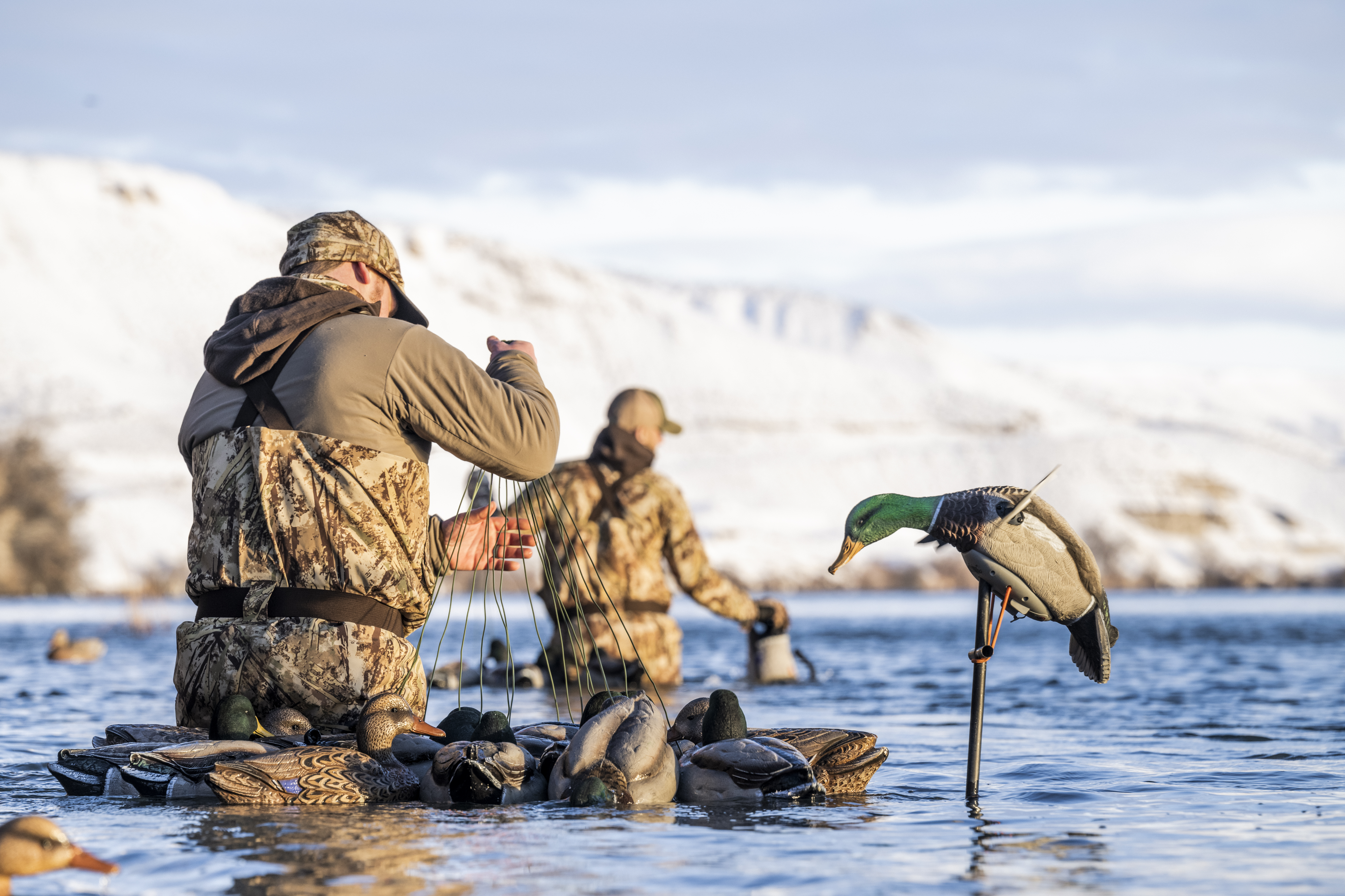 Hunters setting decoys in water