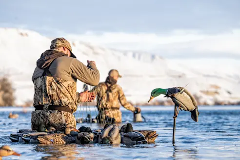 Hunters setting decoys in water