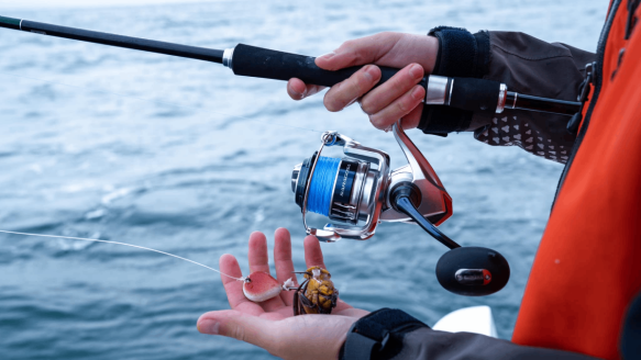 Best Inshore Spinning Reels