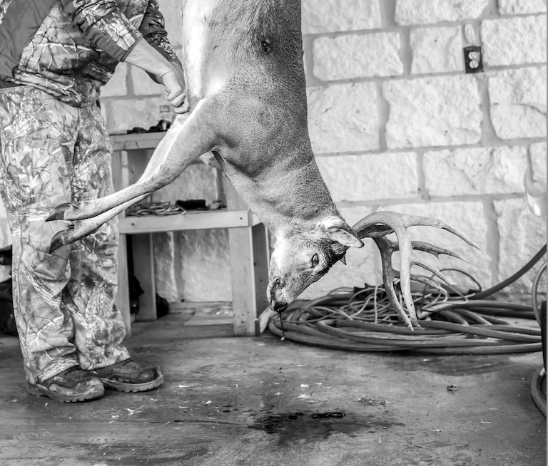 A hunter begins to skin a deer hanging from a meat pole.