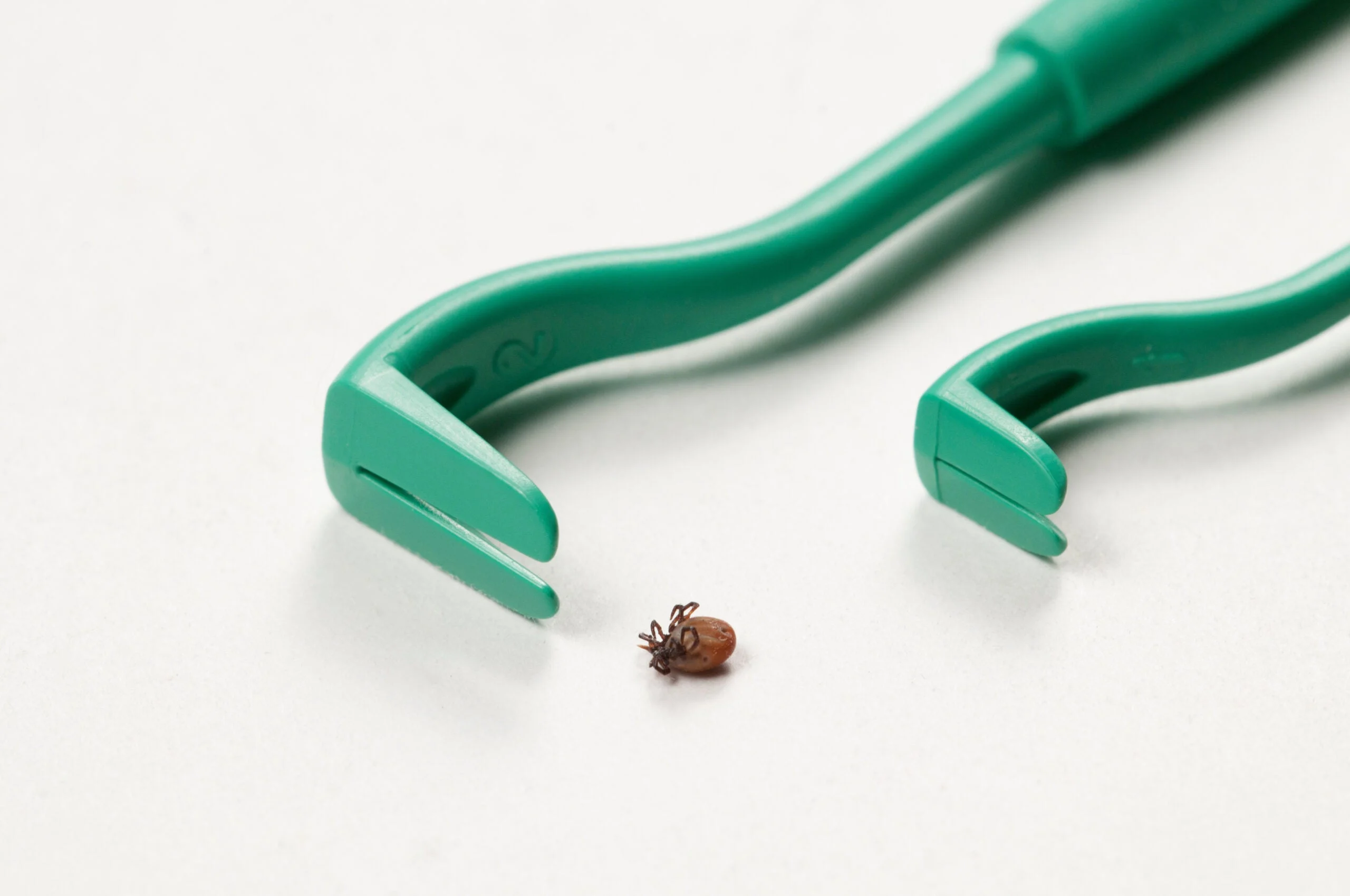 Two specialized tick removal tools lying on a counter next to a removed tick