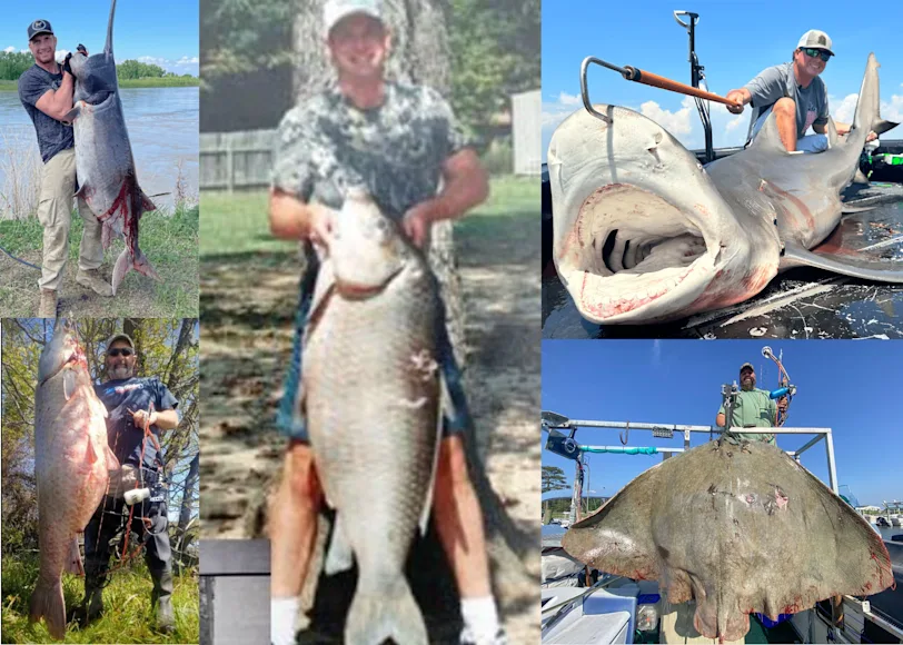 A collage of several bowfishermen posing with their world-record fish.