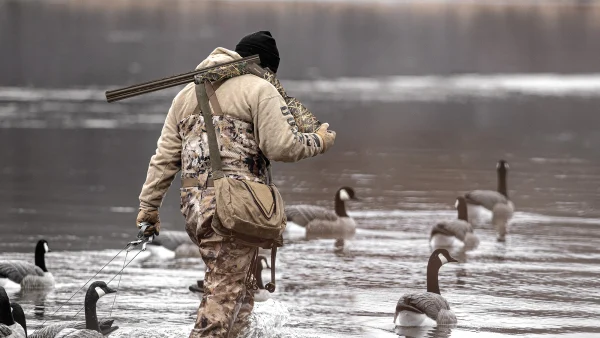 A goose hunter picks up floater decoys with a Mossberg shotgun over his shoulder.