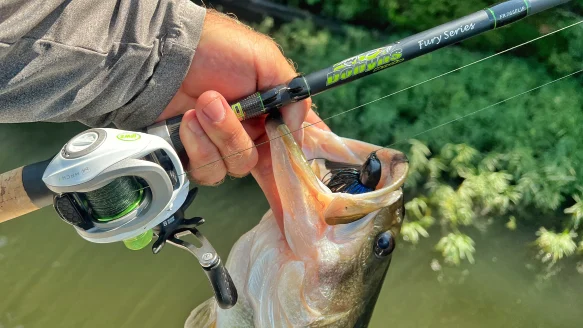 Angler holding largemouth bass and fishing rod