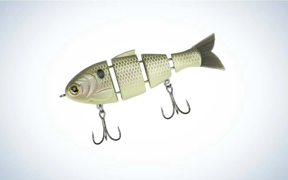 Catch Co.'s Mike Bucca baby bull shad swimbait