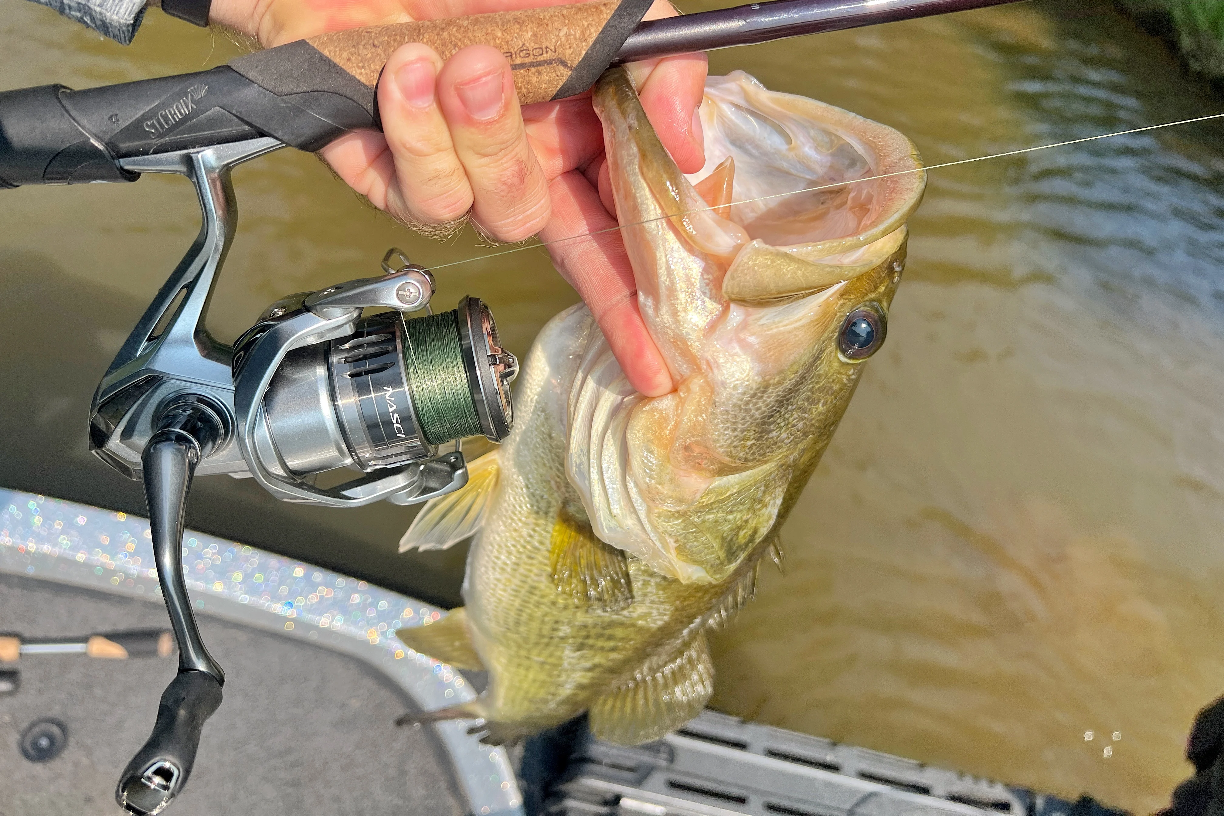 Shimano Nasci