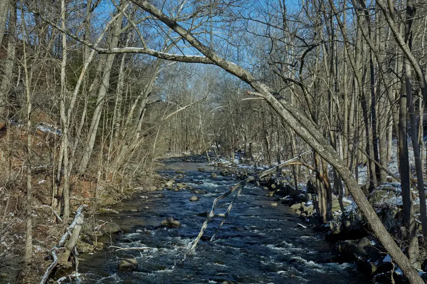 Croton River, New York, bare trees