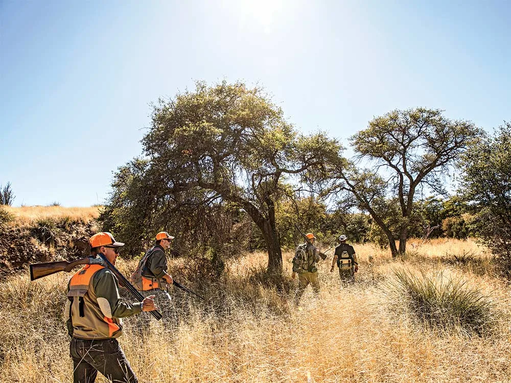 hunting party walking through field