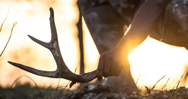 photo for shed hunting 101