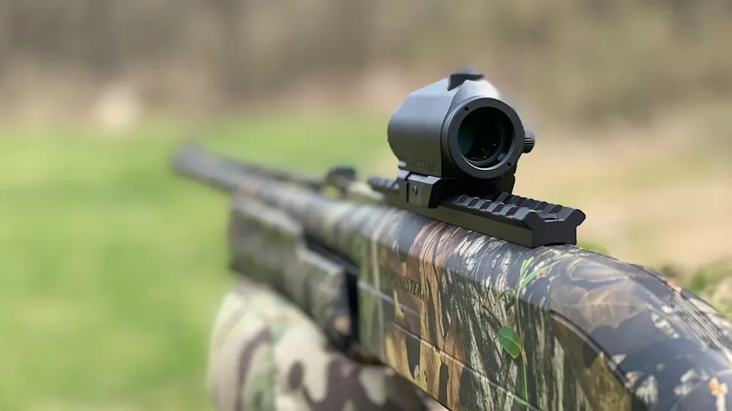 Vortex Red Dot Sight on Turkey Hunting Shotgun