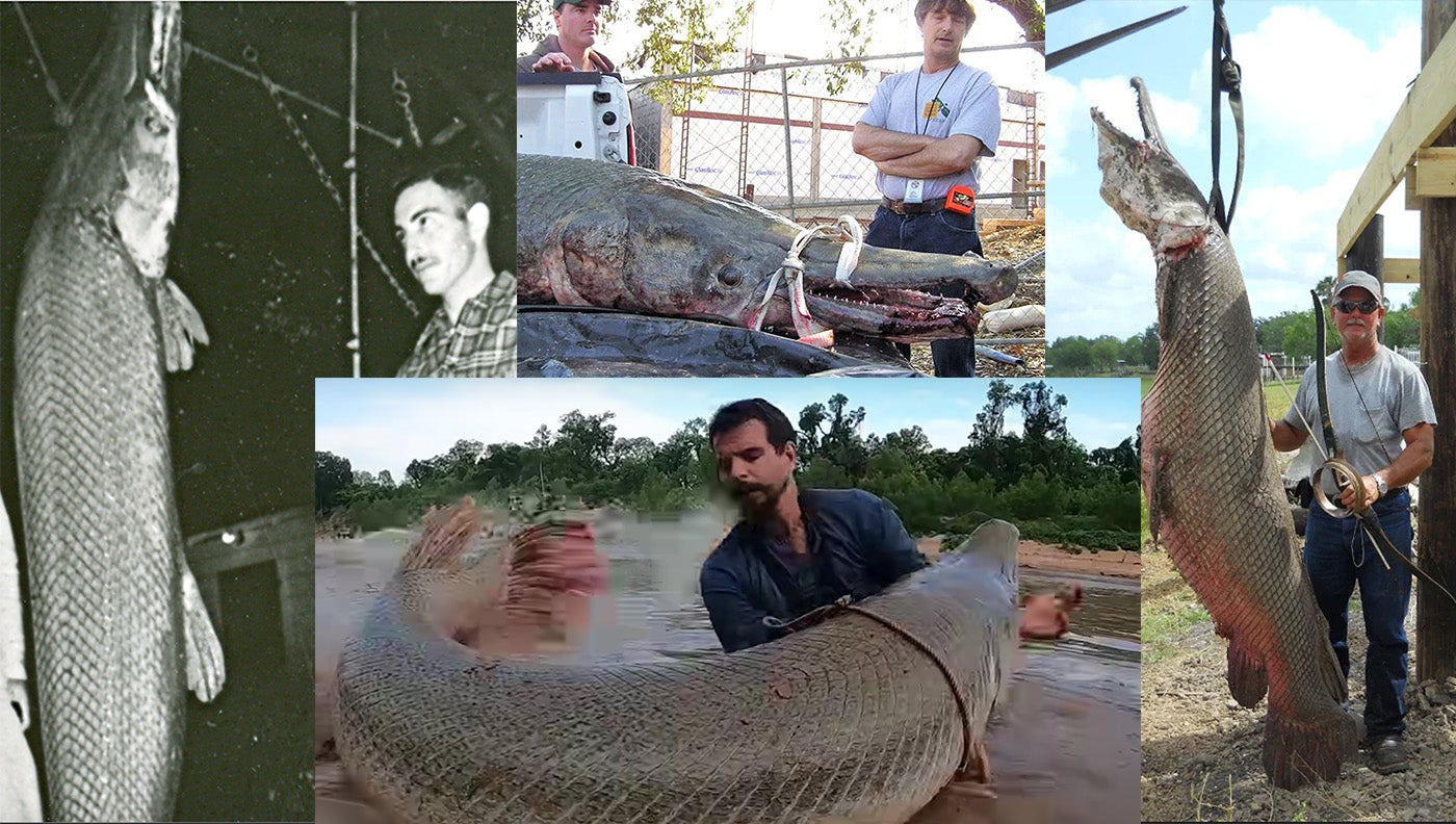 collage of huge gar