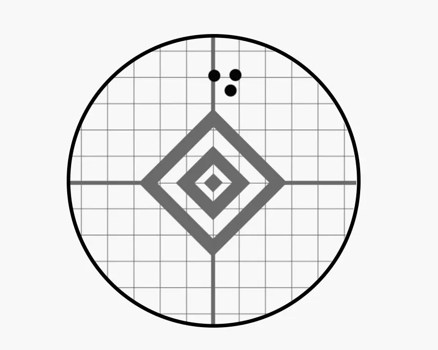 An illustration of a target.