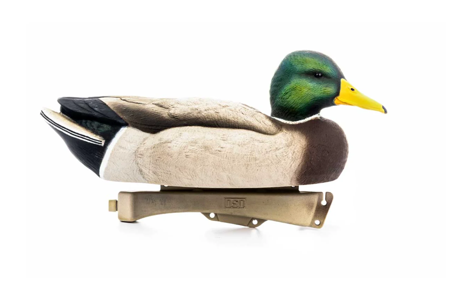 DSD Maxima Mallards