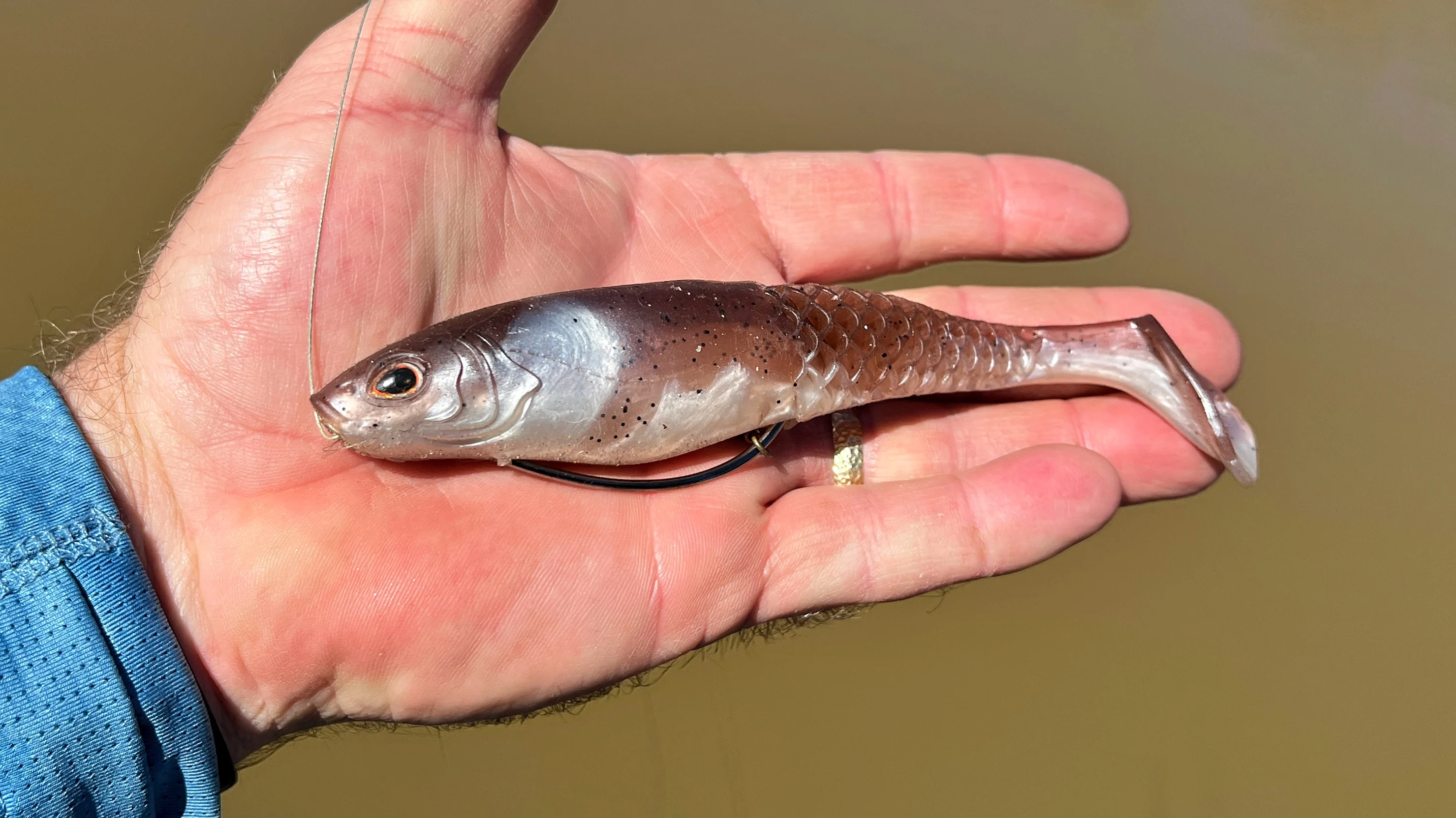 A realistic-looking swimbait in an angler's hand. 