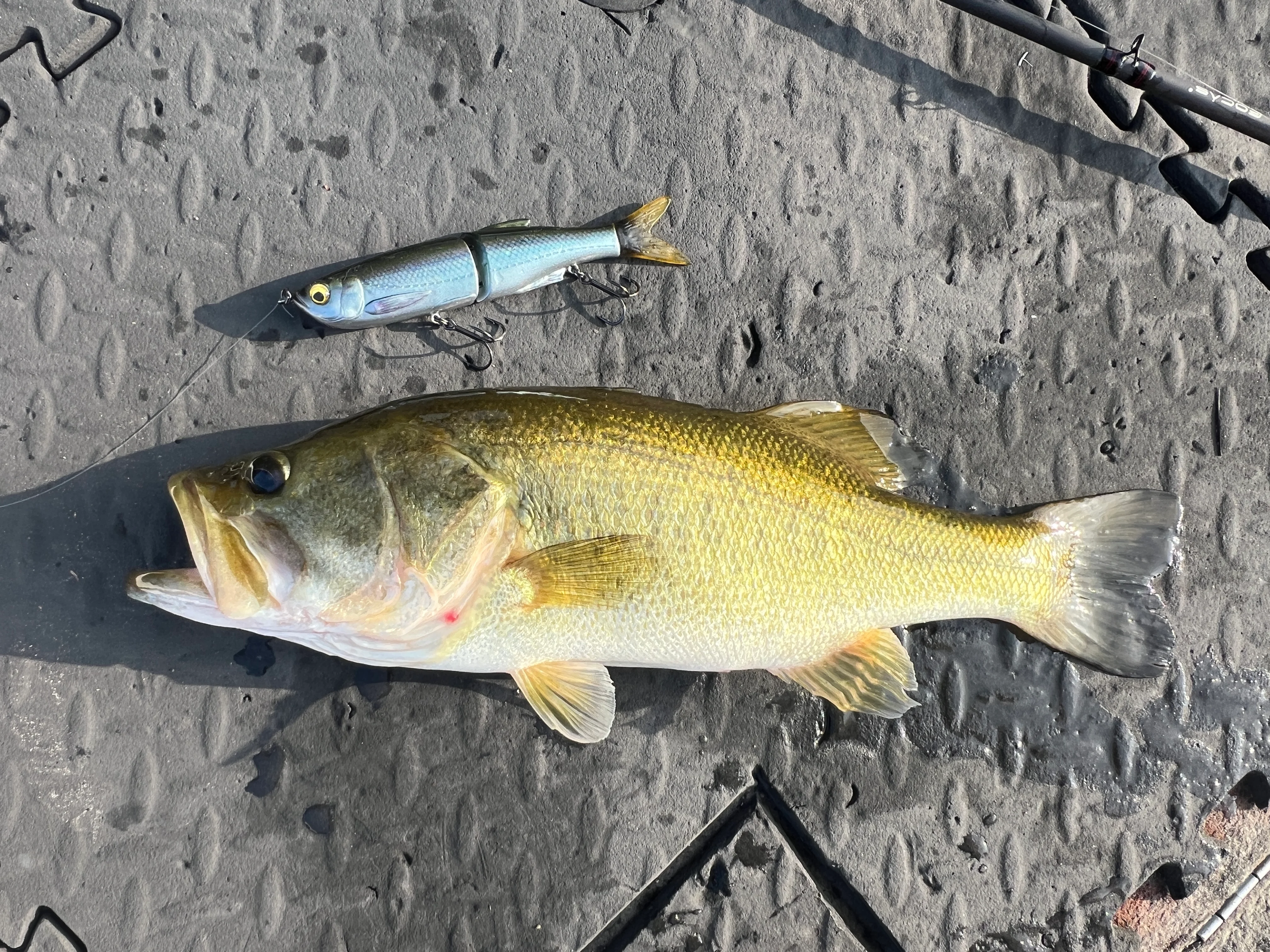 Savage Gear Glide Swimmer 6.5”