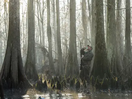 Duck hunter stands in flooded timber calling to ducks.