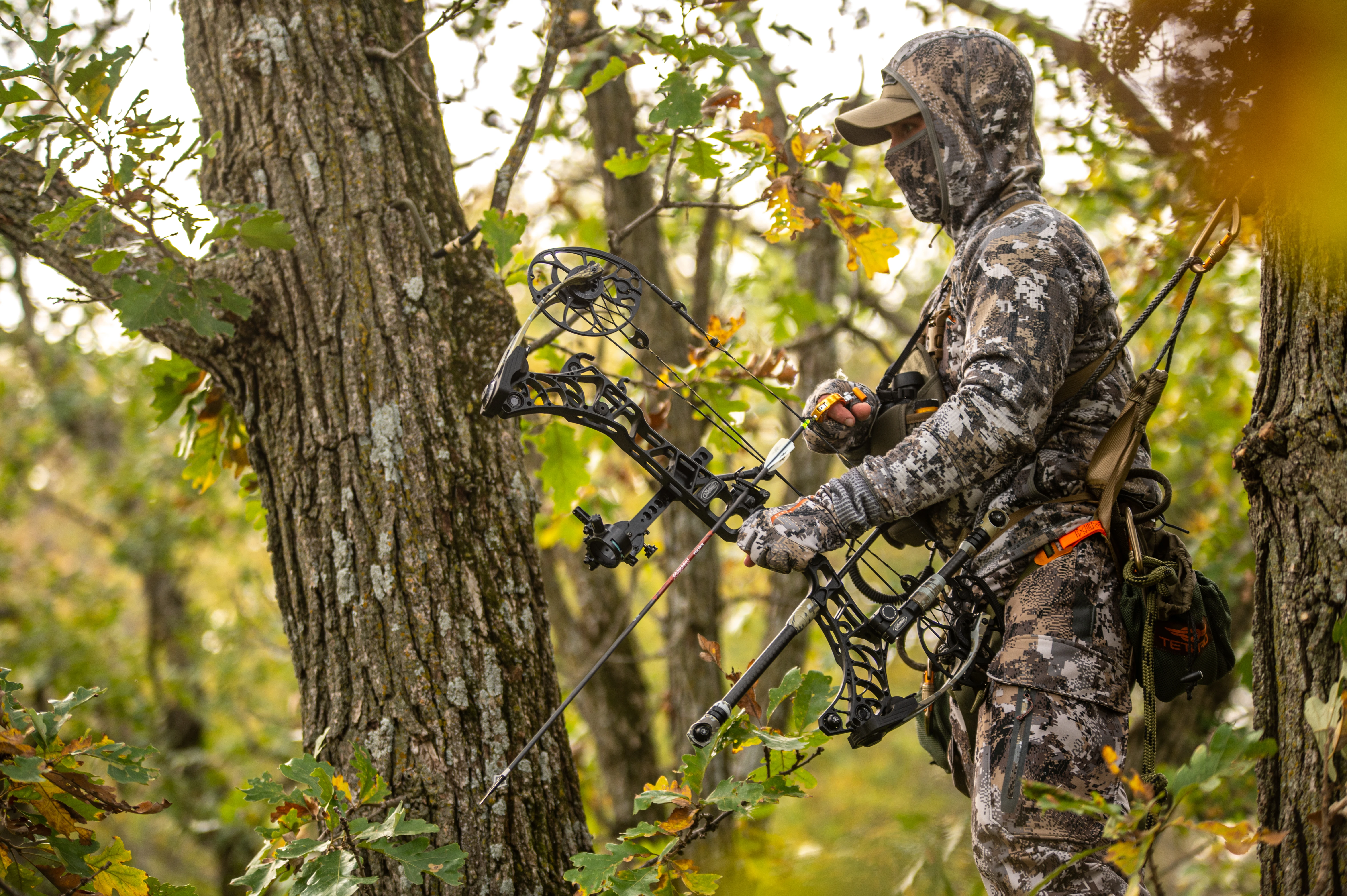 A bowhunter stands to shoot in a tree stand, with woods in the background. 