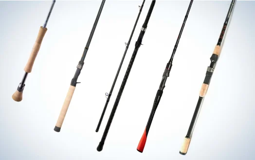 Collage of the Best Fishing Rods for all types of fishing