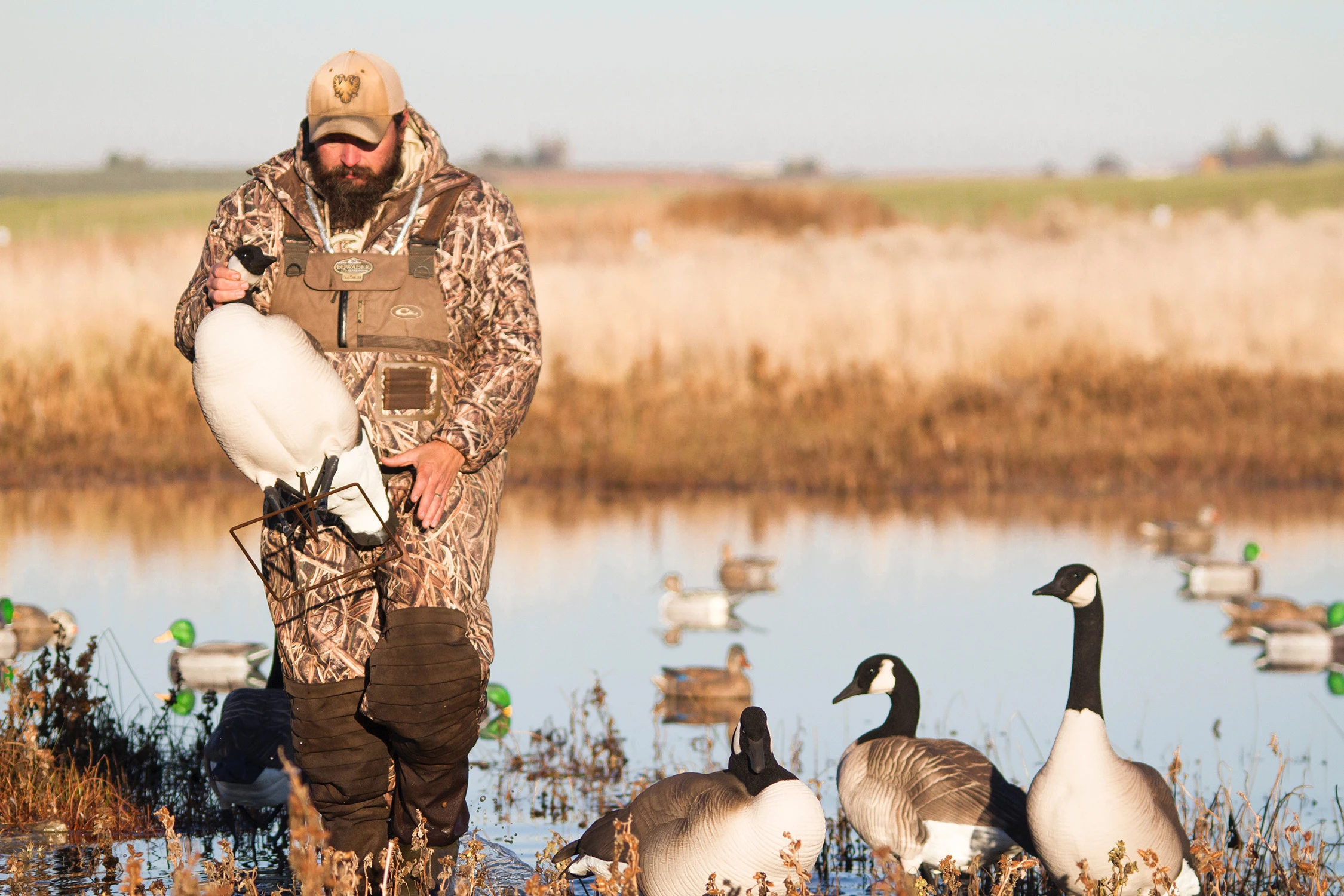 Goose hunting carrying a full body decoy in a marsh