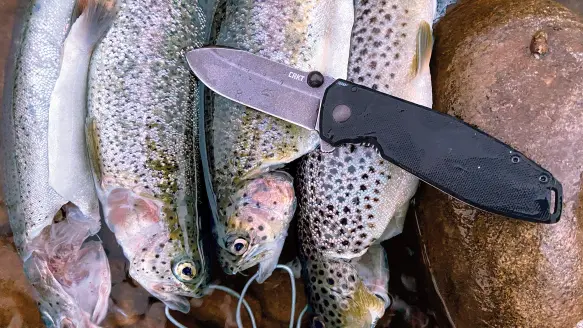 four trout on rock with knife