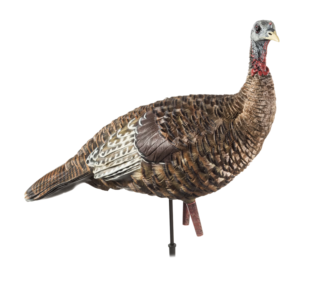 Avian-X LCD Lookout Hen Turkey Decoy