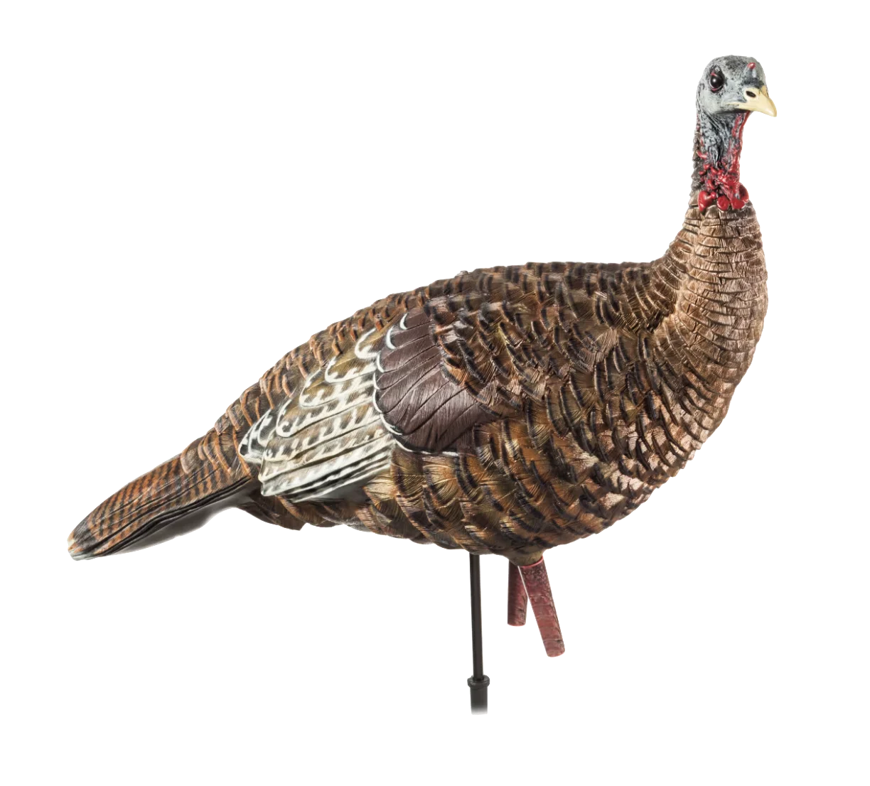 Avian-X LCD Lookout Hen Turkey Decoy