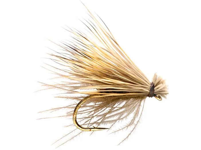 The Elk Hair Caddis fkittering fly.