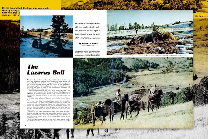 elk adventure story from Field & Stream