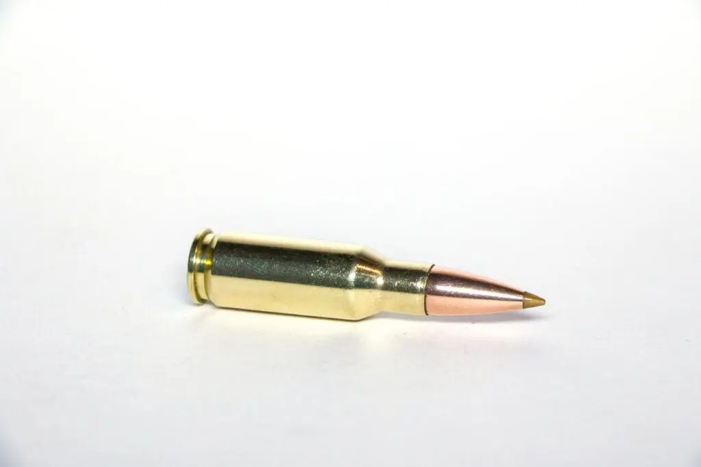 The .30 Remington AR