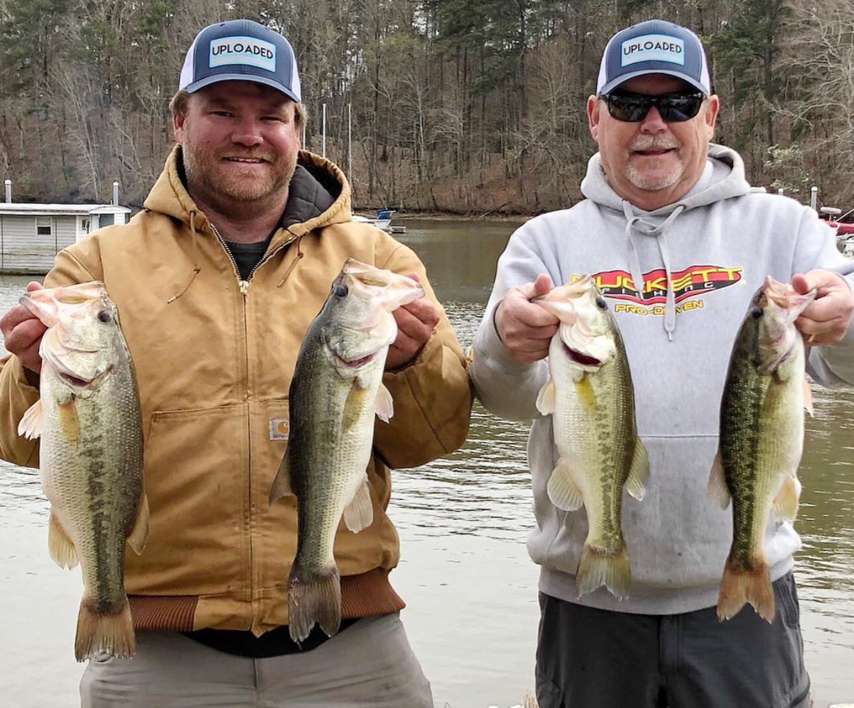 photo showing three largemouth bass on the left and one spotted bass on the right