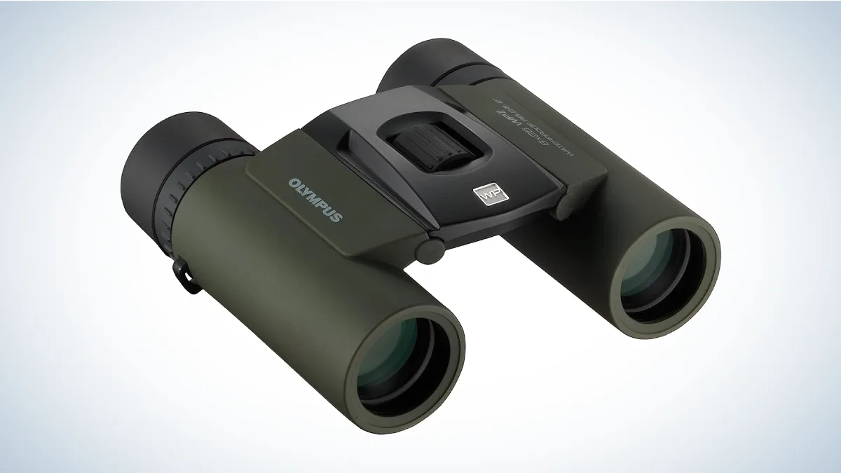 Best Hiking Binoculars: Olympus 8x25 WP II Binocular