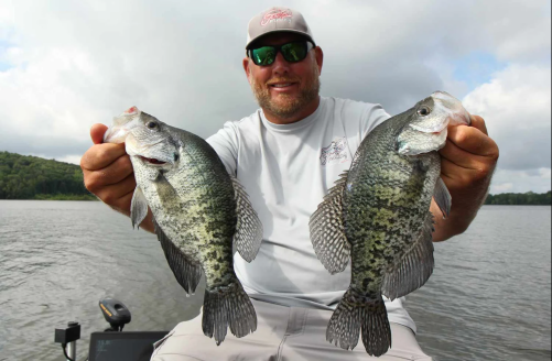 Live bait is the best crappie bait for catching slab crappies.