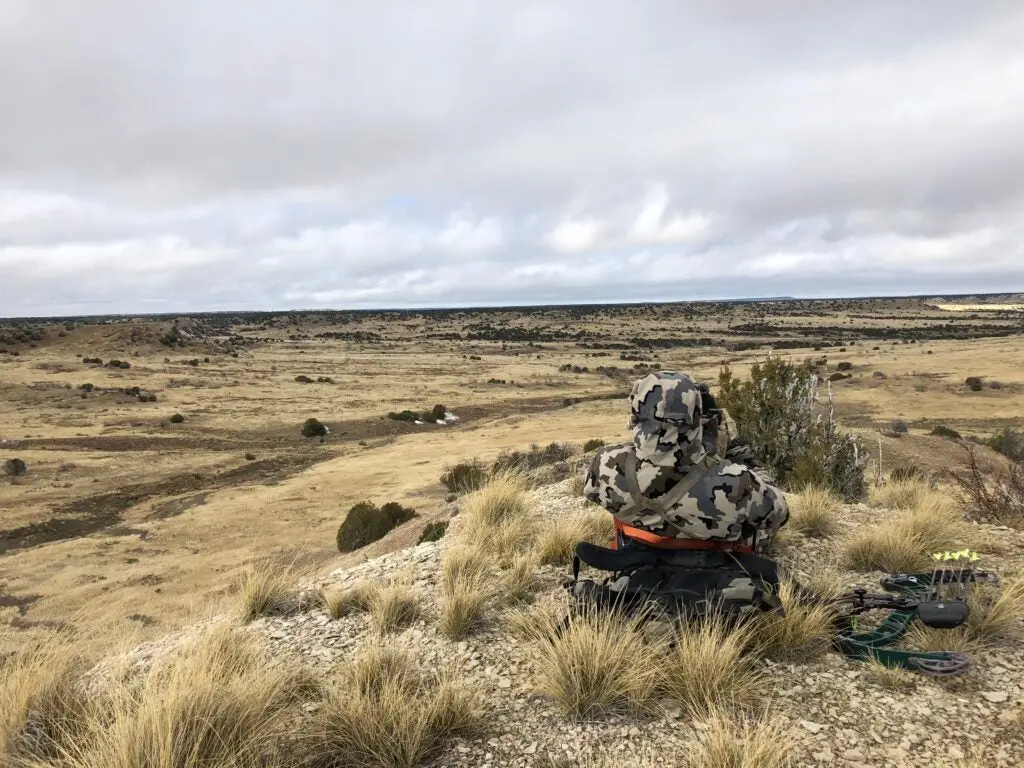 The author glasses for mule deer