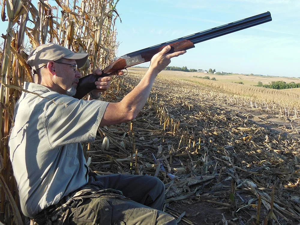 Man dove hunting in a field.