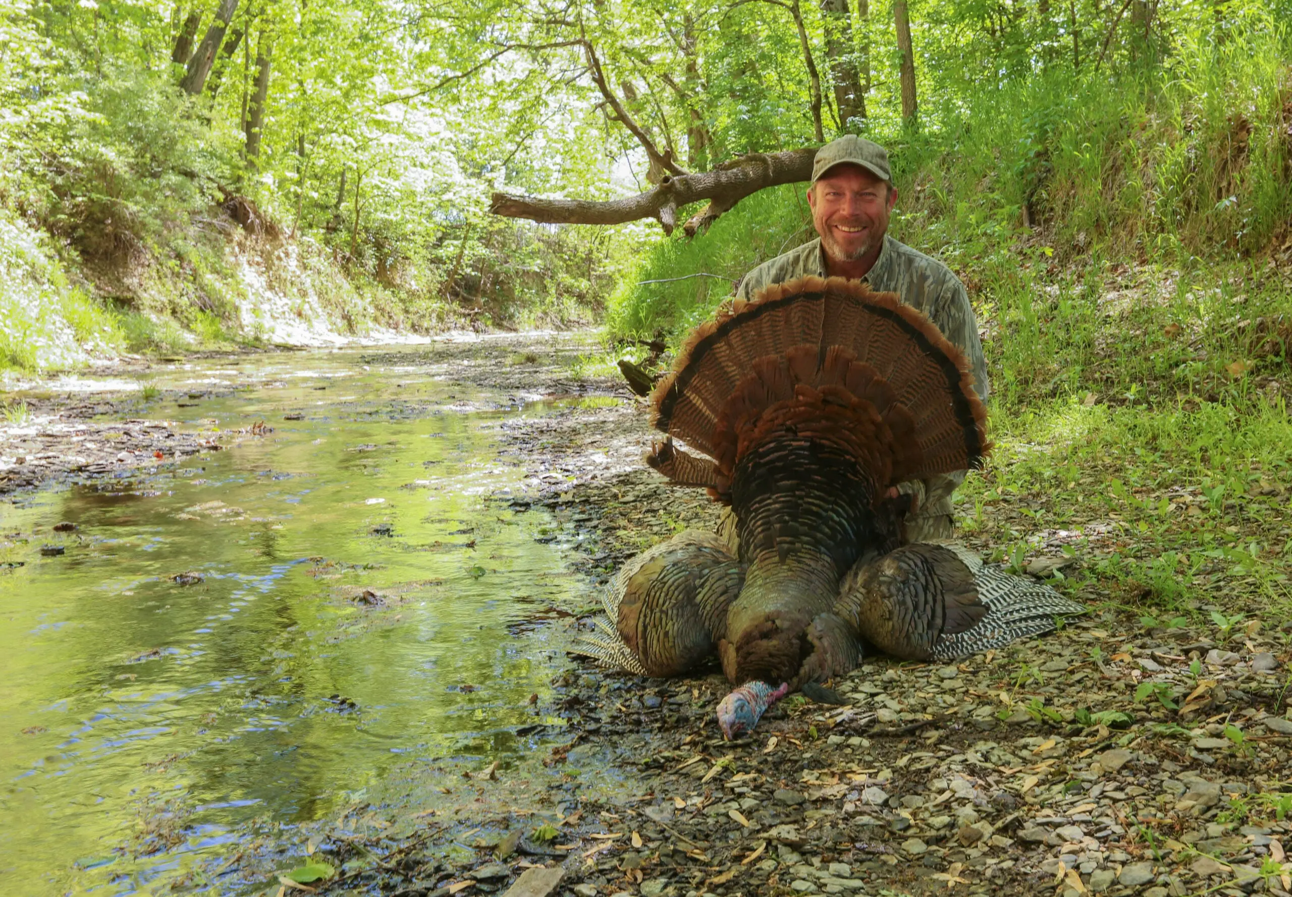 A hunter kneels along the edge of a wooded creek and shows off a tom turkey.